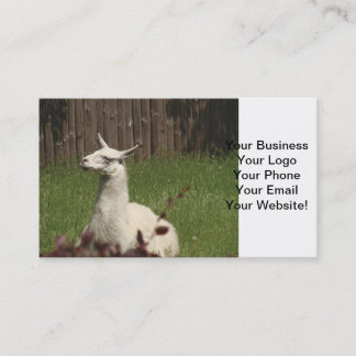 White Llama Business Card