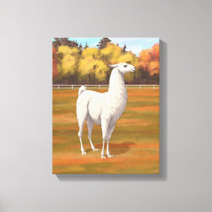 White Llama in Autumn Farm Pasture Canvas Print