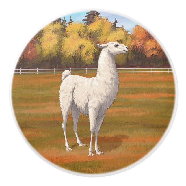 White Llama in Autumn Farm Pasture Ceramic Knob (Front)