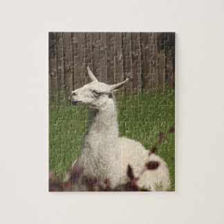 White Llama Jigsaw Puzzle