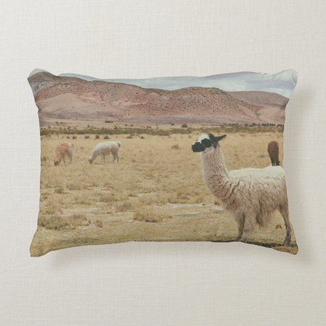 WHITE LLAMA ON BROWN GRASS DECORATIVE CUSHION (Front)