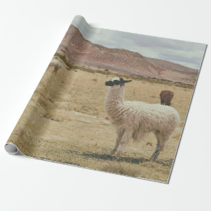WHITE LLAMA ON BROWN GRASS WRAPPING PAPER