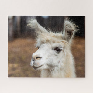 White Llama Portrait, Jigsaw Puzzle