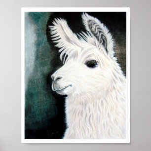 White Llama Poster