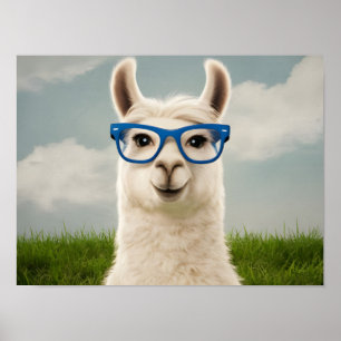 White Llama with Blue Glasses Poster