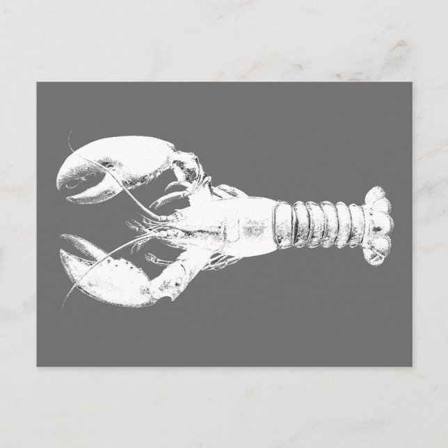 White Lobster on Grey / Grey Postcard (Front)