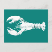 White Lobster on Turquoise / Teal
