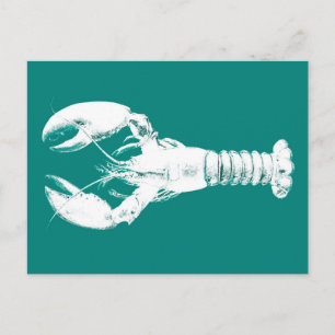 White Lobster on Turquoise / Teal Postcard