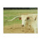 White Longhorn