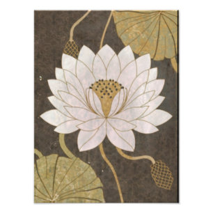 White Lotus Blossoms Amidst Tranquil Waters Photo Print