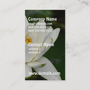 White Lotus Business Card