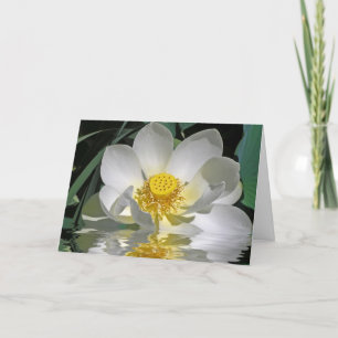 White Lotus Card