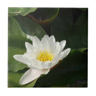 White Lotus Floral Photo Tile