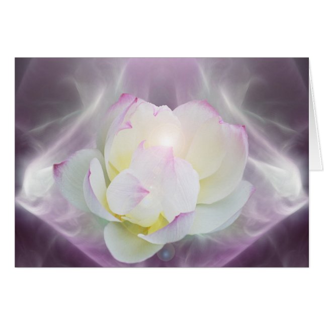 White lotus flower (Front Horizontal)