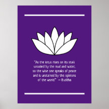 White Lotus Flower and Buddha Quote
