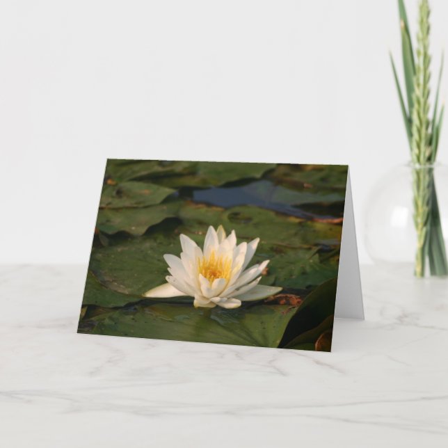 White Lotus Flower Card (Front)
