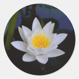White Lotus Flower Classic Round Sticker