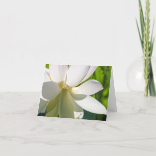 White Lotus Flower Folded Thank You Card