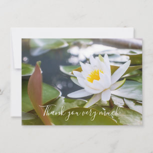 White lotus flower in the pond thank you card