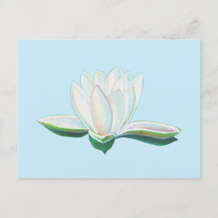 White Lotus Flower Luminous Postcard