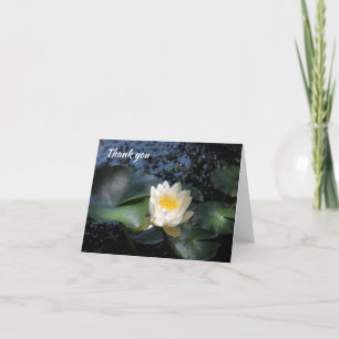White Lotus Flower photo - thank you card
