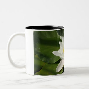 White Lotus Flower Photography Mug