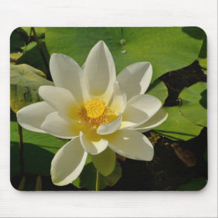 White Lotus flowers in a pond Mouse Mat