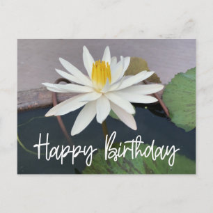 White Lotus in the pond Happy Birthday Postcard