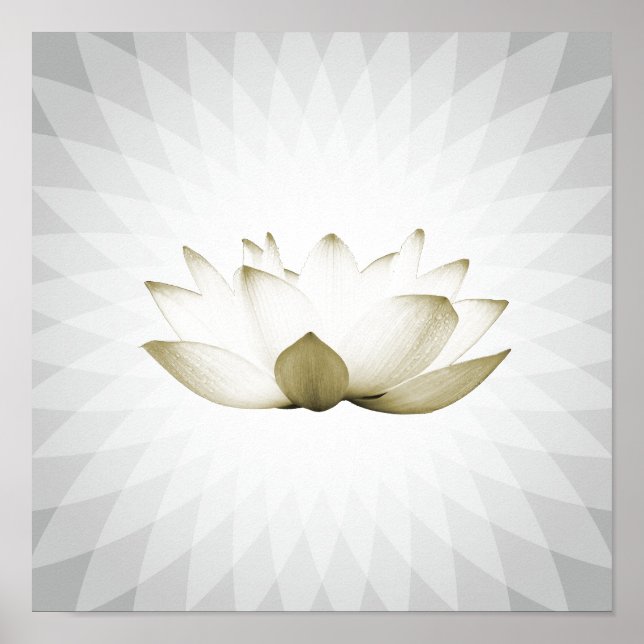 White Lotus Massage Therapy Yoga Training Poster (Front)