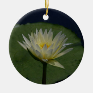 White Lotus Waterlily Flower Ceramic Tree Decoration
