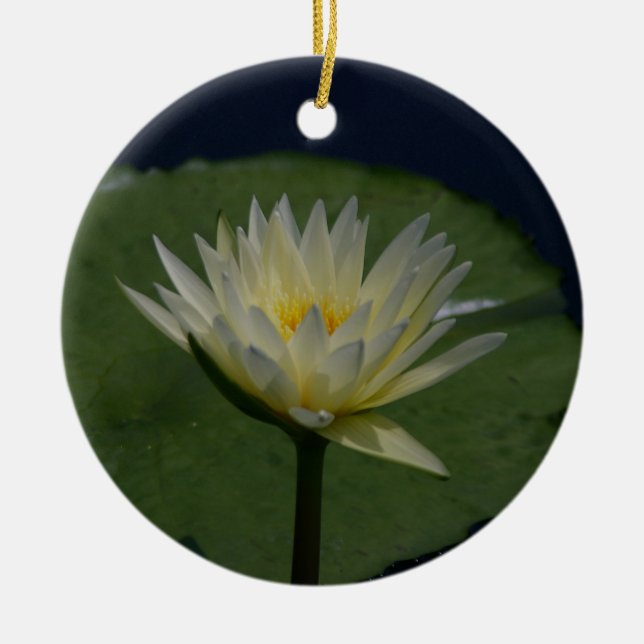 White Lotus Waterlily Flower Ceramic Tree Decoration (Front)
