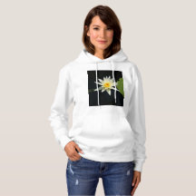 White Lotus Waterlily