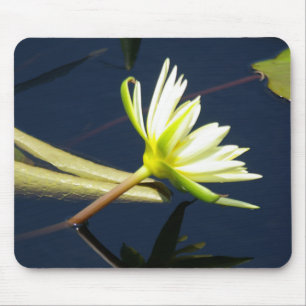 white lotus waterlily mouse pad