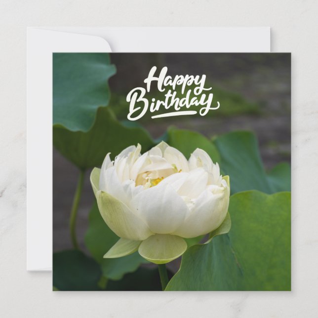 White lotus with word Happy Birthday  Postcard (Front)