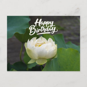 White lotus with word Happy Birthday Postcard