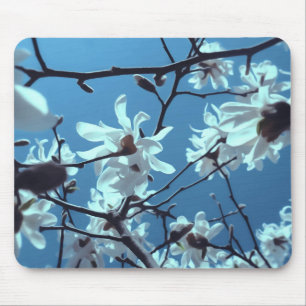 White Magnolia Bloom Blue Sky Mouse Mat