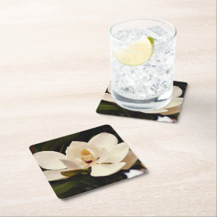 White Magnolia Blossom Paper Coaster