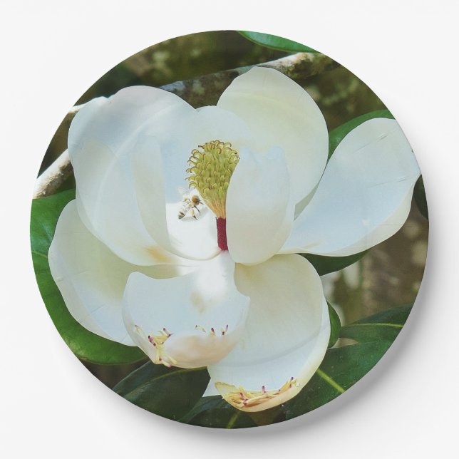White Magnolia Blossom Paper Plate (Front)