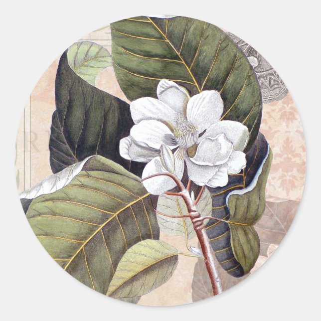 White Magnolia Blossom Vintage Botanical Classic Round Sticker (Front)
