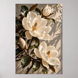 White Magnolia Blossoms in Warm Natural Light Wall Poster