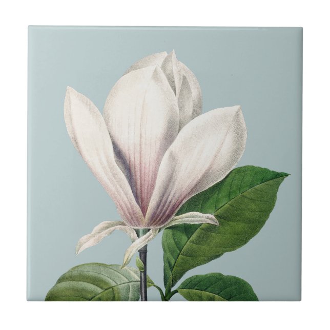 White magnolia ceramic tile (Front)