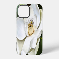 White Magnolia Closeup Green Background