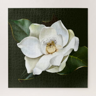 White Magnolia Closeup Green Background Jigsaw Puzzle