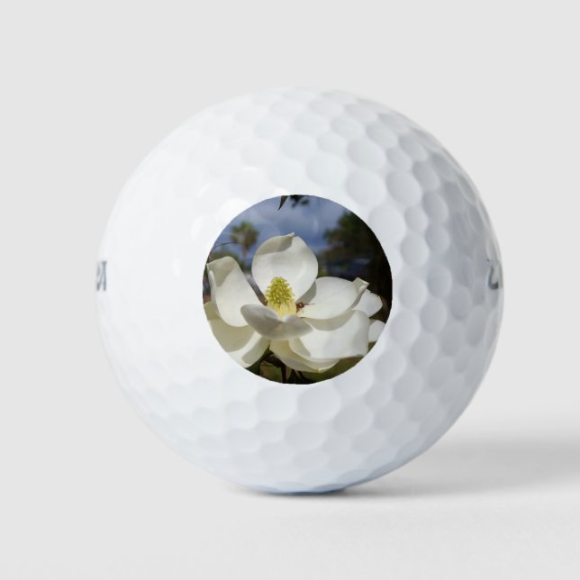 White Magnolia flower and a bee on golf ball (Front)