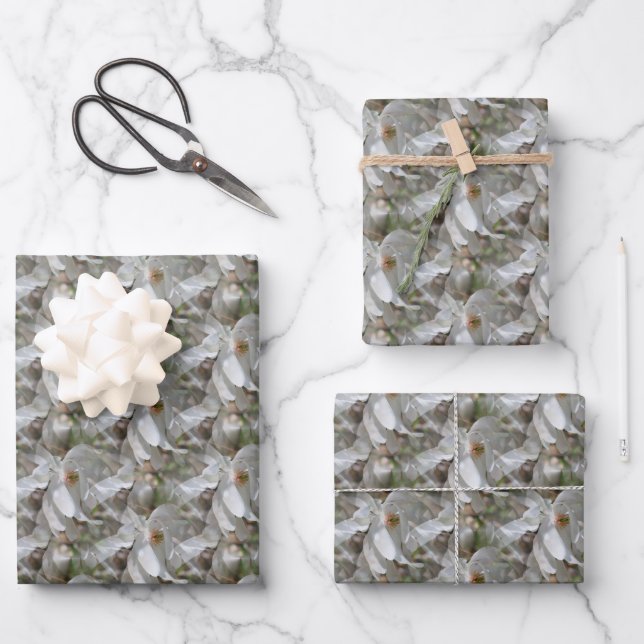 White Magnolia Flower Blossoms Nature   Wrapping Paper Sheet (Front)