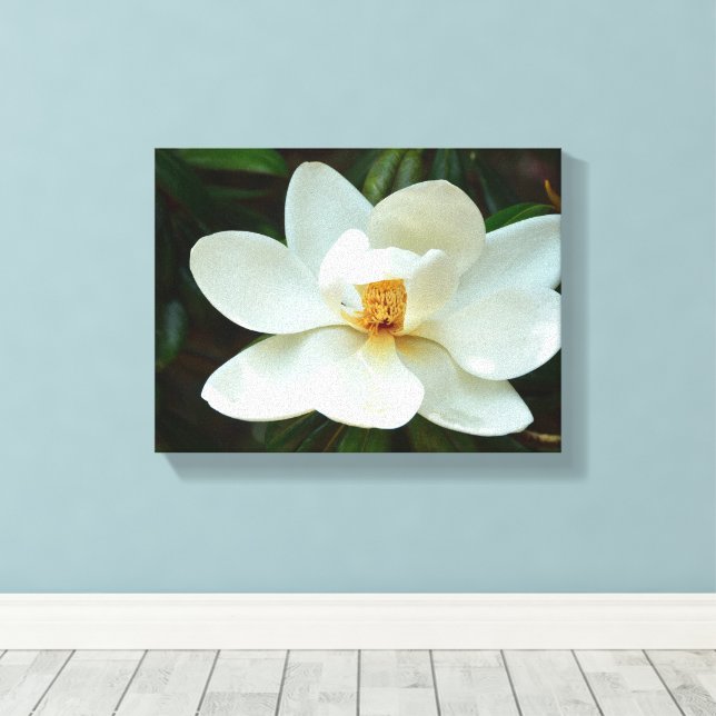 White Magnolia Flower Canvas Print (Insitu(Wood Floor))