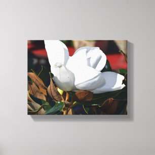 White magnolia flower canvas print