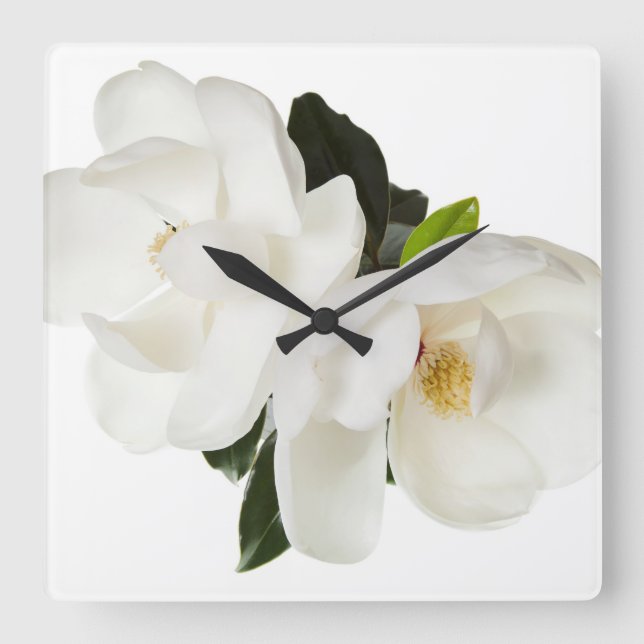 White Magnolia Flower Magnolias Floral Flowers Square Wall Clock (Front)