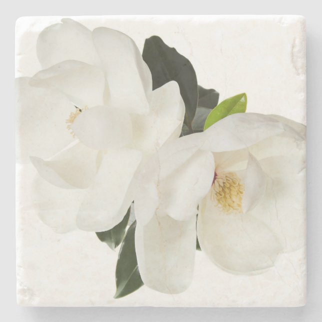 White Magnolia Flower Magnolias Floral Flowers Stone Coaster (Front)
