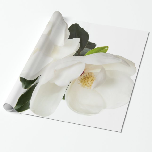 White Magnolia Flower Magnolias Floral Flowers Wrapping Paper (Unrolled)